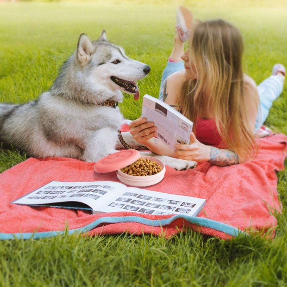 Portable Pet Bowl Set: Collaps - Food Snacks For Hiking 리뷰 및 가격