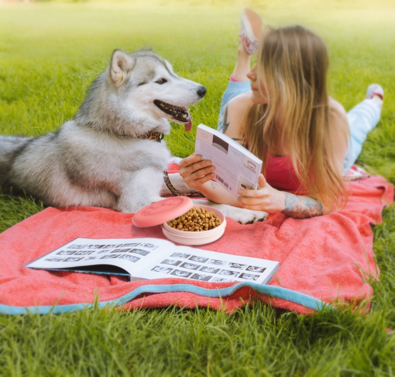 2-in-1 Outdoor Travel Pet Bowl - Food Snacks For Hiking 리뷰 및 가격