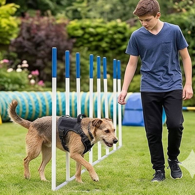 Universal Vest Harness Dog Foo - Food Snacks For Hiking 리뷰 및 가격