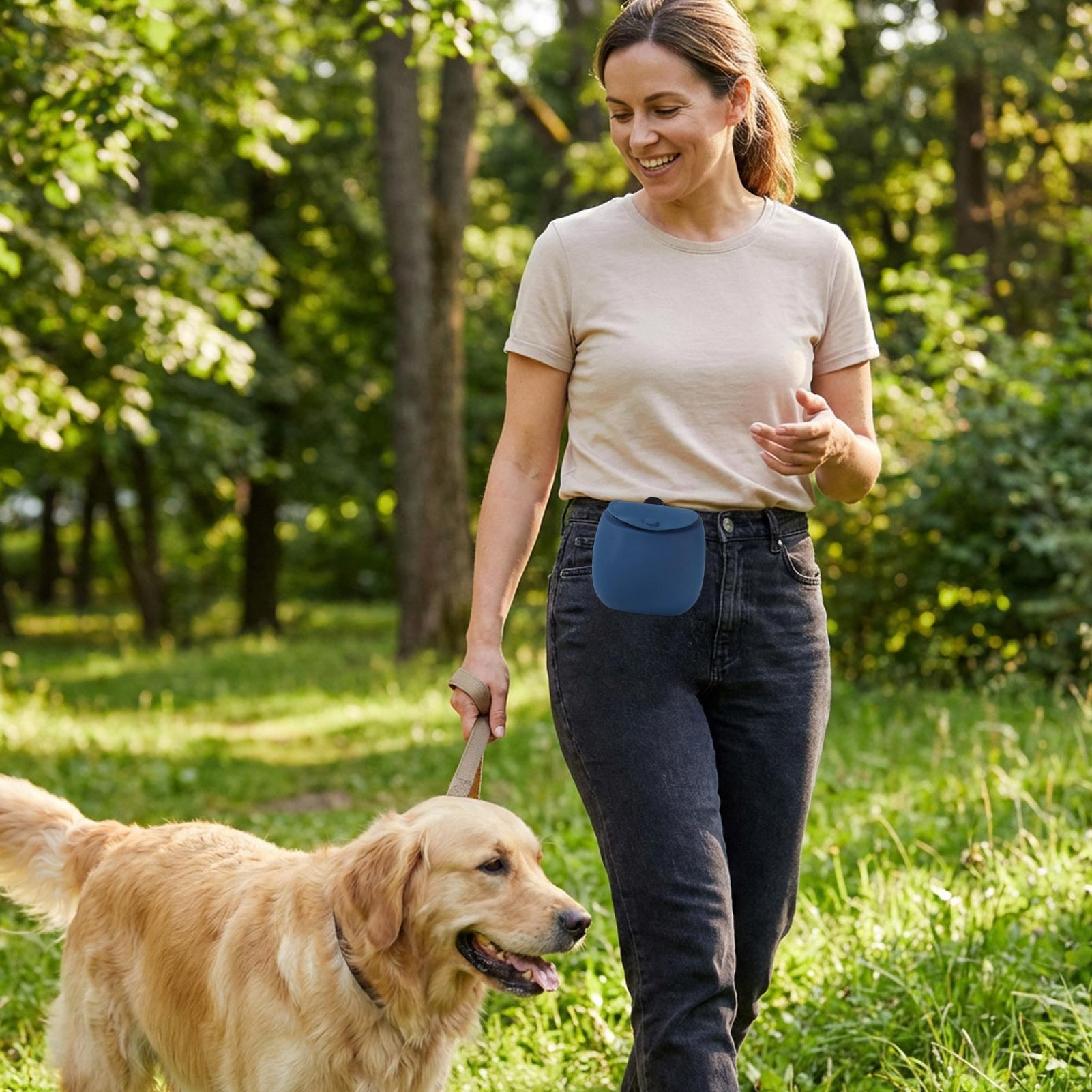 Treat Bag For Dog Training Sil - Food Snacks For Hiking 리뷰 및 가격